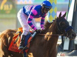 Grace Adler and Flavien Prat destroyed their rivals by more than 11 lengths in the Grade 1 Del Mar Debutante in September. She is one of three Bob Baffert horses running the final Grade 1 of the year for 2-year-old fillies: Saturday's Starlet Stakes at Los Alamitos. (Image: Behoit Photo)