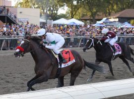Hot Rod Charlie, seen turning away Midnight Bourbon in September's Grade 1 Pennsylvania Derby, comes into Sunday's San Antonio Stakes as the 6/5 morning-line favorite. (Image: Equi-Photo)