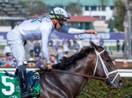 Irad Ortiz Jr. points the way for Life Is Good after his dominant Breeders' Cup Dirt Mile victory last month. The next stop on the colt's race itinerary is the Grade 1 Pegasus World Cup Jan. 29 at Gulfstream Park. (Image: Skip Dickstein)