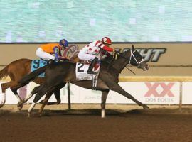 Make It Big held off Osbourne in deep stretch of Friday's Springboard Mile at Remington Park. The half-length victory put the Saffie Joseph Jr. colt on this winter's Kentucky Derby trail in his native Florida. (Image; Dustin Orona Photography/Remington Park)