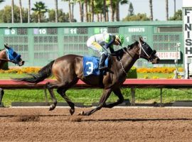Manhattan Up, seein here winning the Los Alamitos Special in September, was one of a flurry of early claims at Oaklawn Park. The Arkansas track is on a record claiming pace only nine days into its meet. (Image: Benoit Photo)