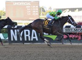 Kentucky Derby prospect Mo Donegal broke his maiden in his second try -- and longest race. He's the 8/5 morning-line favorite for Saturday's Grade 2 Remsen at Aqueduct. (Image: Coglianese Photos)