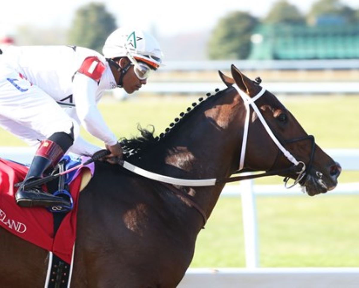 Nashville Oaklawn return