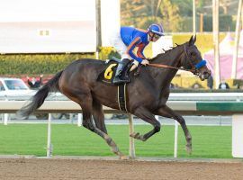 As Time Goes By went by her La Canada Stakes competition by 13 1/2 lengths Saturday. The Bob Baffert mare remains in search of her first Grade 1 score. (Image: Benoit Photo)