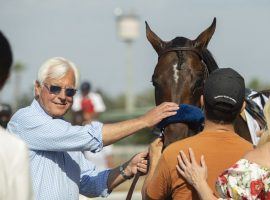 Bob Baffert's suit to toss out a NYRA suspension hearing was thrown out Friday. His pre-suspension hearing from NYRA begins Monday. (Image: Benoit Photo)