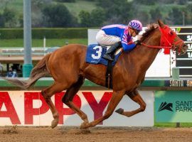 Brickyard Ride defended his title in the Cal Cup Sprint on Cal Cup Day at Santa Anita Park. The track enjoyed its best handle: $17.2 million, since 2007. (Image: Benoit Photo)