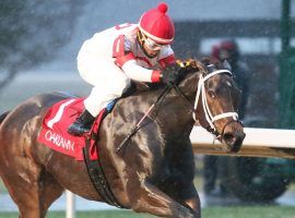Ricardo Santana rode Brad Cox's Coach to victory in the Pippin Stakes at Oaklawn Park in December. After a fall slump, the eight-time Oaklawn riding champion is enjoying a resurgence. (Image: Coady Photography)