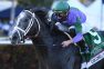 Colonel Liam Faces Tough Road to History in Pegasus Turf