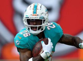 The vagabond running back Duke Johnson has settled in Miami, and appears to have climbed to the No. 1 role for the Dolphins. (Image: Pennsylvania News Today)