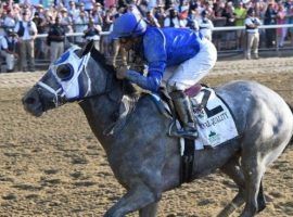 Essential Quality won the 2021 Belmont in one of the year's great races. Fox Sports acquired the media rights to the third jewel of the Triple Crown starting in 2023. (Image: NYRA Photo)