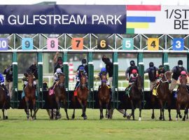 Gulfstream Park plays host to a $1.1 million guaranteed Rainbow Pick 6 on Wednesday's card. (Image: Coglianese Photos/Gulfstream Park)