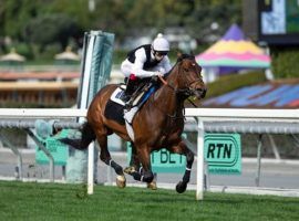 Hit the Road clocked a sub-1-minute five-furlong workout at Santa Anita Park last Saturday. He may race for the first time since October in the Grade 1 Pegasus World Cup Turf. (Image: Benoit Photo)