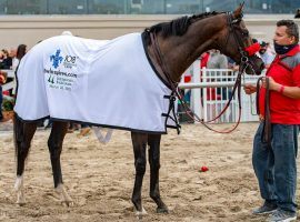 Hot Rod Charlie won the 2021 Louisiana Derby, one of his two 3-year-old victories. He opens his 4-year-old season in Dubai Feb. 4, as a wamrup for the $12 million Dubai World Cup March 26. (Image: Jamie Newell/TwinSpires)