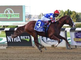 Champagne Stakes winner and frown-row Kentucky Derby prospect Jack Christopher is still at least two weeks away from returning after shin surgery, according to one report. (Image: Susie Raisher/Coglianese Photos)