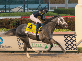 Joel Rosario and Knicks Go won the 2021 Pegasus World Cup Invitational. They are bidding to be the first repeat winner in event history Jan. 29. (Image: Gulfstream Park)