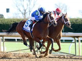 Malathaat (5) outdueled Pass the Champagne to win last year's Ashland. That key Kentucky Oaks prep moves to opening day on Keeneland's 2022 Spring Meet stakes schedule. (Image: Keeneland Photo)