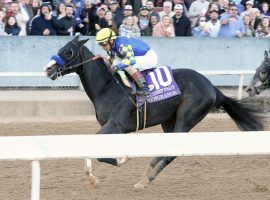 Newgrange and John Velazquez rallied for a 1 1/2-length victory in Saturday's Grade 3 Southwest Stakes. The Bob Baffert-trained colt was ineligible for Kentucky Derby points due to the trainer's suspension. (Image: Coady Photography)