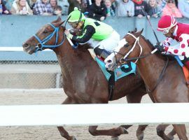 Rated R Superstar won the 2019 Essex Handicap for one of his nine wins in 56 races. The 9-year-old gelding will start his season at the FIfth Season Stakes Saturday at Oaklawn. (Image: Coady Photography)