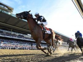 Sir Winston shocked everyone but his trainer when he and Joel Rosario won the 2019 Belmont Stakes at 14/1. After a rocky 2020 and resurgent 2021, the 6-year-old horse takes his shot in Saturday's $3 million Pegasus World Cup Invitational. (Image: Coglianese Photos)