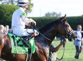 Tiz the Bomb is the 10/1 second individual choice behind stablemate Smile Happy in the Kentucky Derby Future Wager Pool 2, which closed Sunday. (Image: Coady Photography/Keeneland)