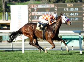 Barraza, the 2/1 favorite in the Grade 3 San Simeon figures to be on plenty of bettor's tickets in Sunday's Rainbow Pick 6 mandatory payout at Santa Anita. (Image: Benoit Photo)