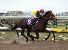 Cafe Pharoah won the first 2022 Breeders' Cup Challenge Series race for the flagship Breeders' Cup Classic. His victory in the Group 1 February Stakes at Tokyo Racecourse earned him a "Win and You're In" berth. (Image: JRA Photo)