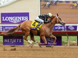 Ce Ce and Victor Espinoza's Breeders' Cup Filly & Mare Sprint victory gave the 6-year-old mare her third Grade 1 victory. She goes for her sixth graded-stakes score in Saturday's Grade 2 Santa Monica Stakes at Santa Anita Park. (Image: Benoit Photo)