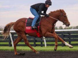 Classic Causeway and his front-running style come into the Grade 3 Sam F. Davis Stakes as the 3/1 morning-line favorite. (Image: Kentucky West Racing)