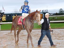 Perhaps Dash Attack needed muck like he conquered in the Smarty Jones last weekend in the Grade 3 Southwest Stakes. The previous unbeaten colt finished fifth in the Southwest at Oaklawn Park. (Image: Coady Photography)