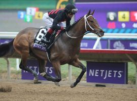 Echo Zulu, one of six nominated fillies to the 2022 Triple Crown series, leads the 312 nominated horses in earnings at more than $1.4 million. (Image: Horsephotos.com)