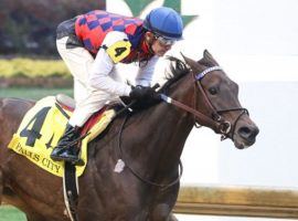 Envoutante captured her last race, the Grade 2 Falls City, by a geared-down six lengths. She makes her fifth attempt at an elusive Grade 1 win in the Beholder Mile at Santa Anita March 5. (Image: Coady Photography)