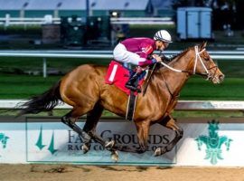 Epicenter's success in winning December's Gun Runner here and finishing second in January's Lecomte at Fair Grounds should serve him well in Saturday's Grade 2 Risen Star. (Image: Hodges Photography/Lou Hodges Jr.)