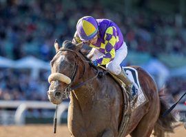 Express Train and Victor Espinoza could be the first tandem to win the Grade 2 San Pasqual Stakes in more than 50 years. The San Pasqual is a strong prep for the Santa Anita Handicap. (Image; Benoit Photo)