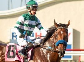 Flightline won't have Flavien Prat's services for the foreseeable future. The standout Thoroughbred is out indefinitely with a hock injury. (Image: Benoit Photo)