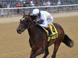Happy Soul made many many folks happy with this 11 1/2-length dissection of the Astoria Stakes last June. The Wesley Ward trainee comes in as the 9/5 favorite for Saturday's Dixie Belle Stakes at Oaklawn Park. (Image; Coglianese Photo/Chelsea Durand)