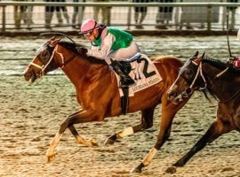Mandaloun, seen here holding off rival Midnight Bourbon to win January's Louisiana Stakes at Fair Grounds, is the 5/2 favorite to win the third running of the Group 1 Saudi Cup, the world's richest race. (Image: Hodges Photography/Amanda Hodges Weir)