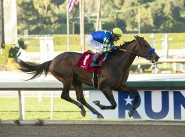 Messier was 15 lengths clear of his closest pursuer in a resounding Robert B. Lewis Stakes victory. Despite the record 15-length victory, the Bob Baffert horse is ineligible for Kentucky Derby points. (Image: Benoit Photo)