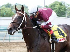 Midnight Bourbon hasn't won a race in 13 months. But trainer Steve Asmussen thinks the 4-year-old Tiznow colt is due for a breakout year. (Image: Coady Photography)