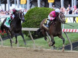 Rombauer reeling in and rolling past Midnight Bourbon in last year's Preakness Stakes was one of the top stories of 2021's racing season. We'll know who picks up the Preakness baton for 2022 May 21 at Pimlico Race Course. (Image: Skip Dickstein)