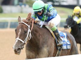 Secret Oath won her three Oaklawn Park starts by a combined 23 lengths. That includes this 7 1/2-length romp in the Grade 3 Honeybee Stakes. (Image: Coady Photography)