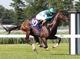 Tribhuvan captured last year's Grade 1 United Nations as the 17/10 favorite. That turf test is one of two Grade 1s and 10 graded stakes on Monmouth Park's 2022 stakes schedule. (Image: Nikki Sherman/EQUI-PHOTO)