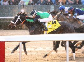 Un Ojo was the longest shot on the Rebel Stakes board Saturday. But the one-eyed, 75/1 shot came home with a half-length victory in the Kentucky Derby prep. (Image: Coady Photography)