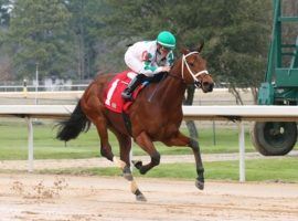 Wells Bayou hasn't run an allowance race since this January 2020 victory at Oaklawn Park. He leads a field of familiar names into a Presidents Day allowance at Oaklawn. (Image: Coady Photography)