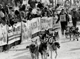 Susan Butcher secures her fourth victory at the 1990 Iditarod with lead dogs Sluggo and Lightning. (Image: Getty)