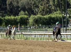 Adare Manor was 13 lengths better than her overwhelmed competition in February's Grade 3 Las Virgenes at Santa Anita. The Kentucky Oaks prospect moved from suspended Bob Baffert's barn to his former assistant: Tim Yakteen's. (Image: Coolmore)