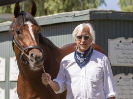 Bob Baffert may have to clear out his deep Santa Anita Park barn if his appeal is turned down. He suffered another legal blow Monday when his stay for a suspension was rejected. (Image: Zoe Metz Photography)