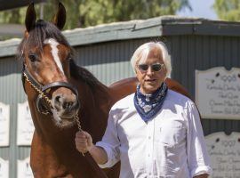 Bob Baffert may have to clear out his deep Santa Anita Park barn if his appeal is turned down. He suffered another legal blow Monday when his stay for a suspension was rejected. (Image: Zoe Metz Photography)