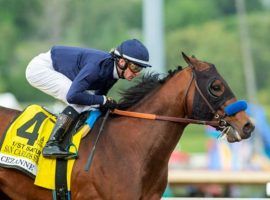 Cezanne rolled to a 2 2 1/2-length victory in the San Carlos Stakes at Santa Anita earlier this month. He is the 5/2 favorite to win the Grade 3 Oaklawn Mile Saturday on the Arkansas Derby undercard. (Image: Benoit Photo)