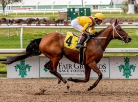 Clairiere returned for the first time since her fourth in the Breeders' Cup Distaff in November with an easy allowance win at Fair Grounds. (Image: Hodges Photography)