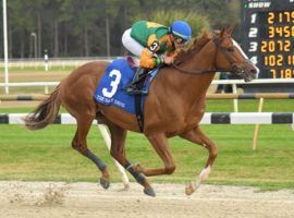 With this easy victory in the Sam F. Davis at Tampa Bay Downs last month, Classic Causeway proved he's clearly the one to beat in the Tampa Bay Derby. (Image; SV Photography)